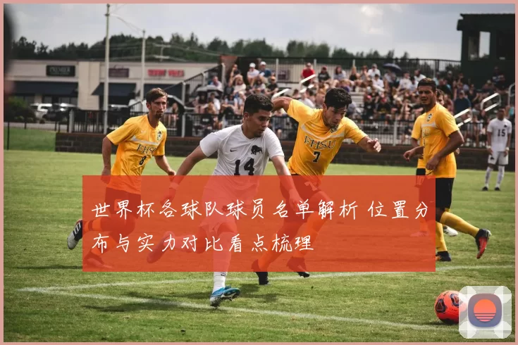 世界杯各球队球员名单解析 位置分布与实力对比看点梳理
