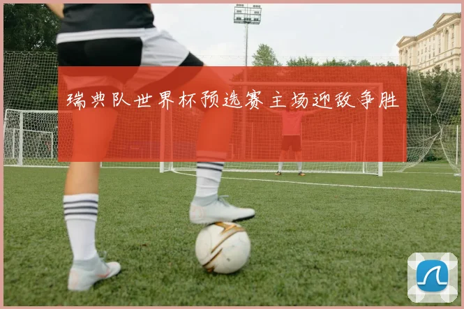 瑞典队世界杯预选赛主场迎敌争胜