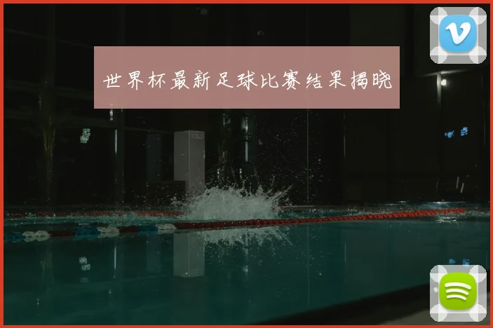 世界杯最新足球比赛结果揭晓
